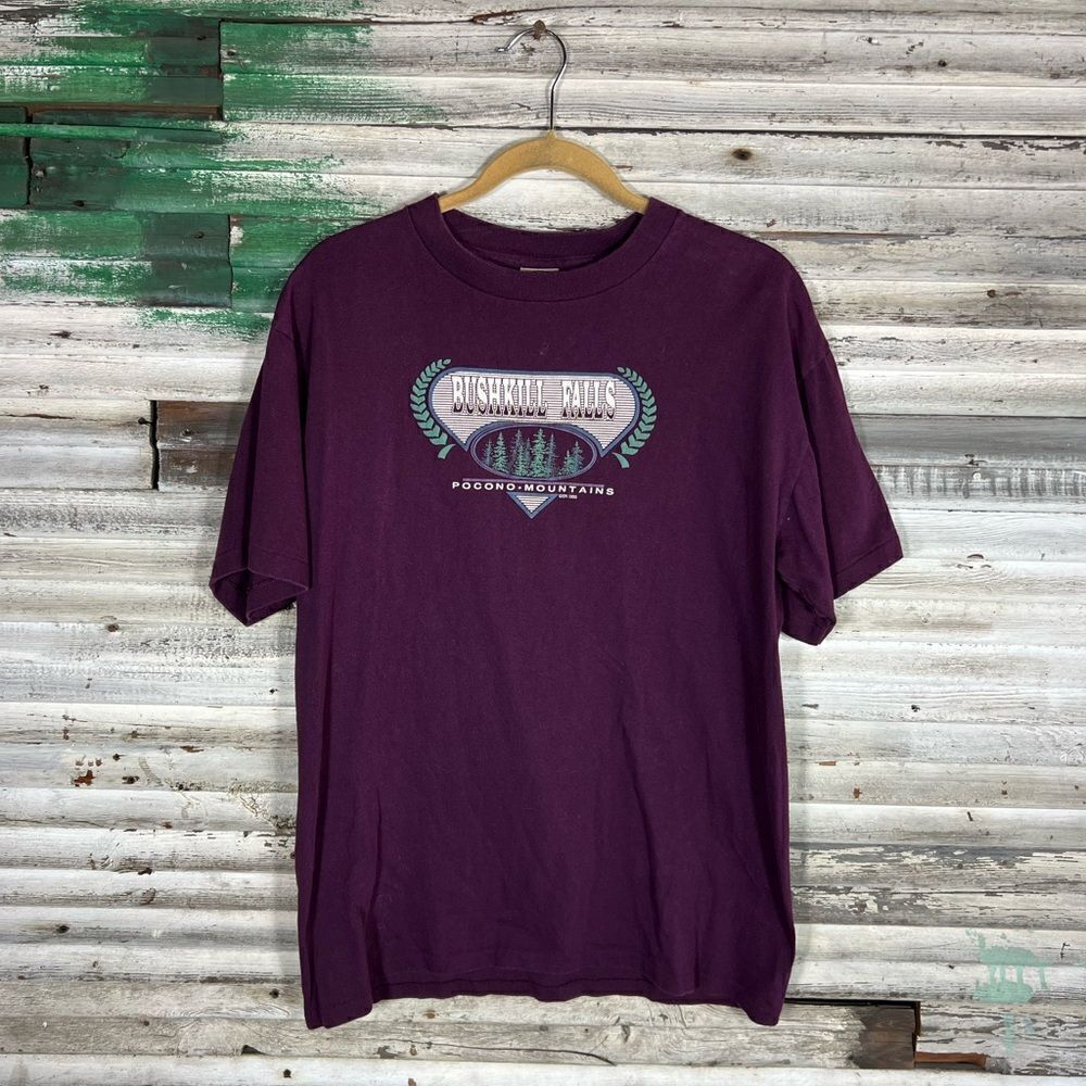 Vintage Bushkill Falls Shirt